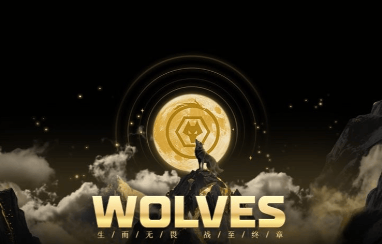 “渝超”璧山狼队真与“十冠王”重庆狼队有关狼队？璧山文旅：我们深度合作