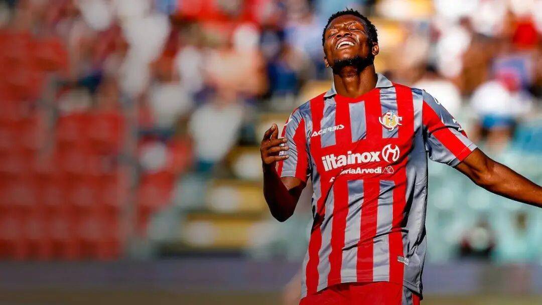 克雷莫纳与佛罗伦萨克雷莫纳，剧本已出！